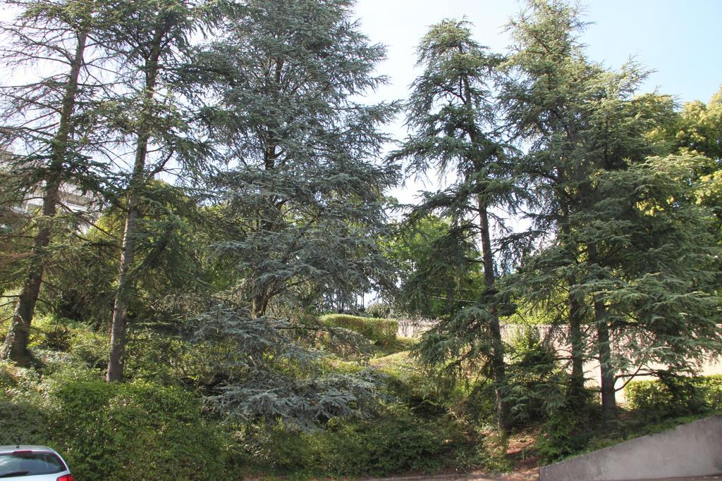 Les Hauts De Perrache Bed & Breakfast Sainte-Foy-les-Lyon Exterior photo